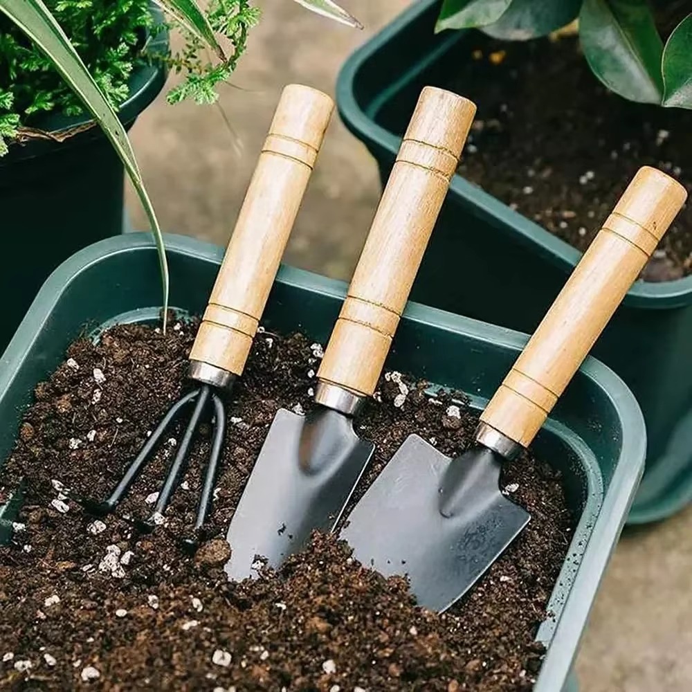 Cactus Mix Pot - 3 stks/set Mini Tuingereedschapset Voor Tuinplanten