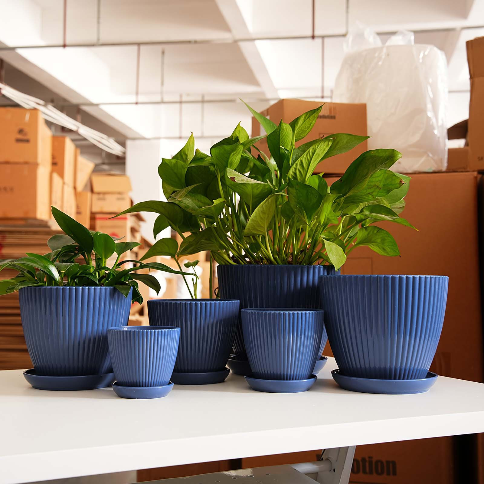 Snake Plant Ceramic - Verticaal gestreepte plantenpot Verdikte plastic bloempot
