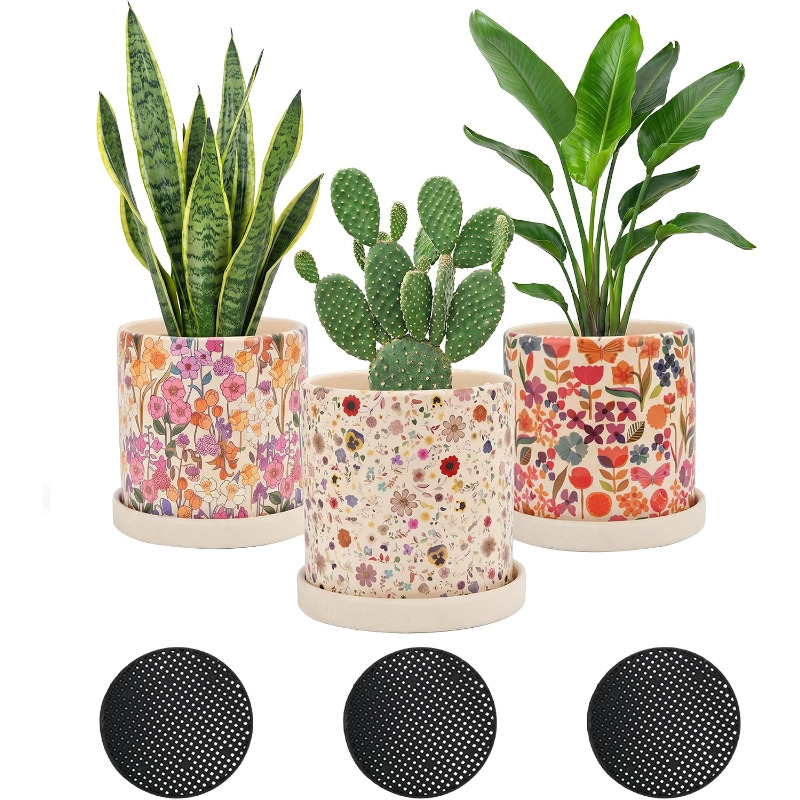 Snake Plant Ceramic - 3-delige keramische plantenpotten met drainagegaten en