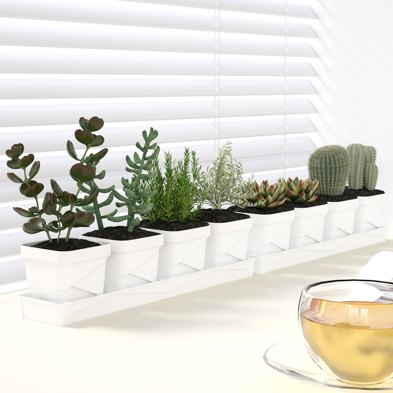 Cactus Mix Pot - Noordse minimalistische succulentenpot met dienblad, verdikte