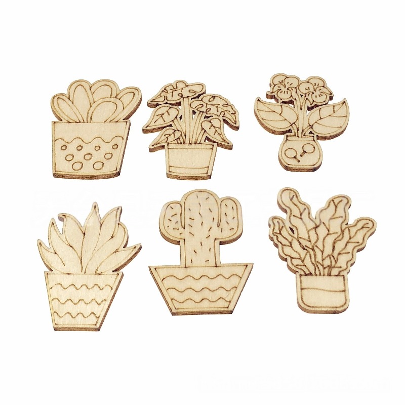 Cactus Mix Pot - 50 stuks gemengde stijlen bloem cactus