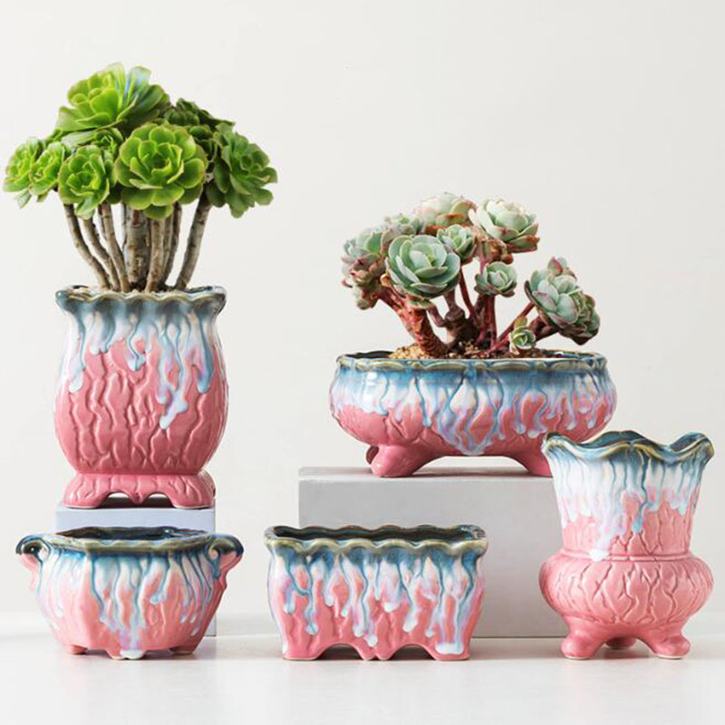 Creatieve Geglazuurde Bloempot - Snake Plant Ceramic recensie en prijs
