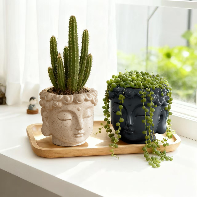Zen Boeddha Beeldje Harsen Blo - Snake Plant Ceramic recensie en prijs