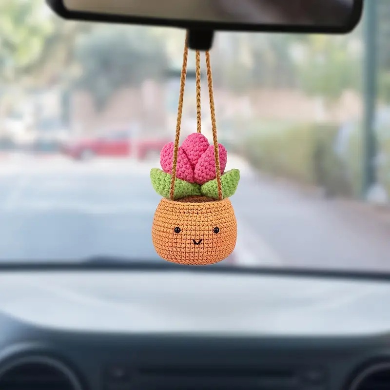Gehaakte Cactus Vlezige Auto A - Cactus Mix Pot recensie en prijs
