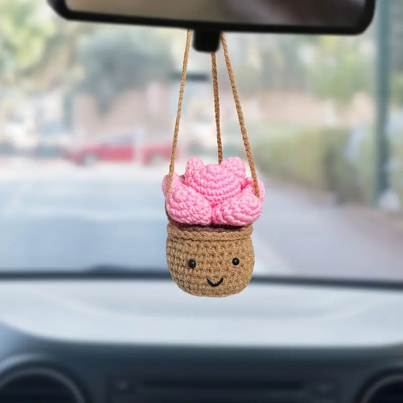 Gehaakte Cactus Vlezige Auto A - Cactus Mix Pot recensie en prijs