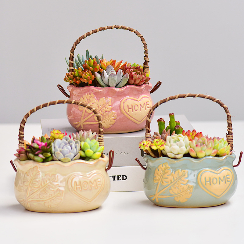 Noordse stijl keramische mandv - Snake Plant Ceramic recensie en prijs