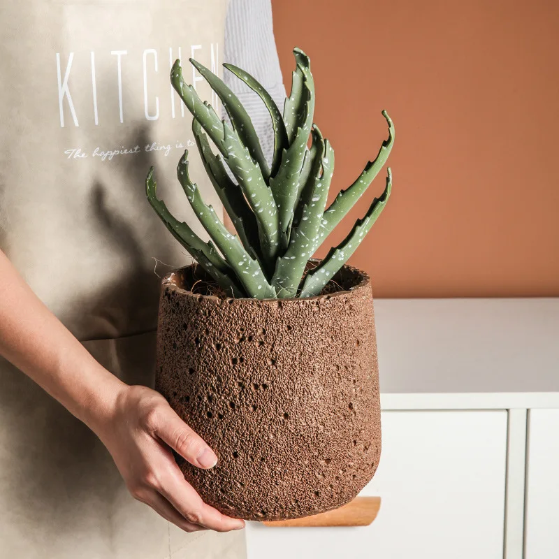 Nordic Cement Bloempot Decorat - Snake Plant Ceramic recensie en prijs