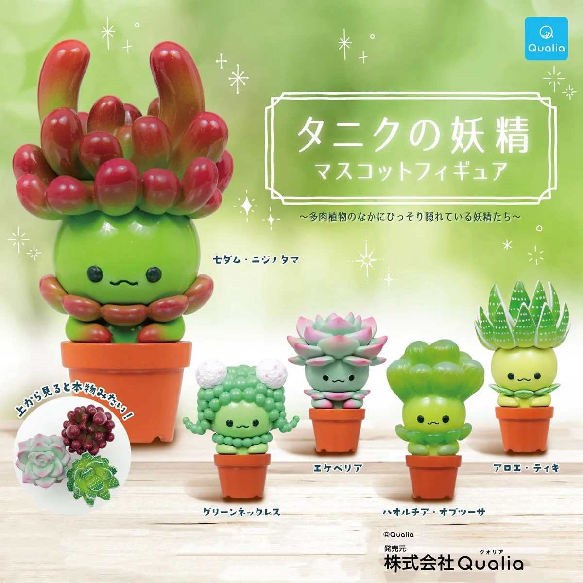 Originele QUALIA Kawaii Gashap - Cactus Mix Pot recensie en prijs