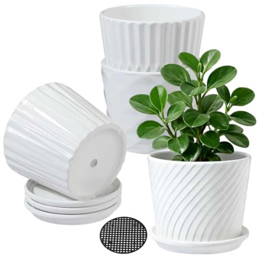 Plantpotten - Cilindervormige  - Snake Plant Ceramic recensie en prijs