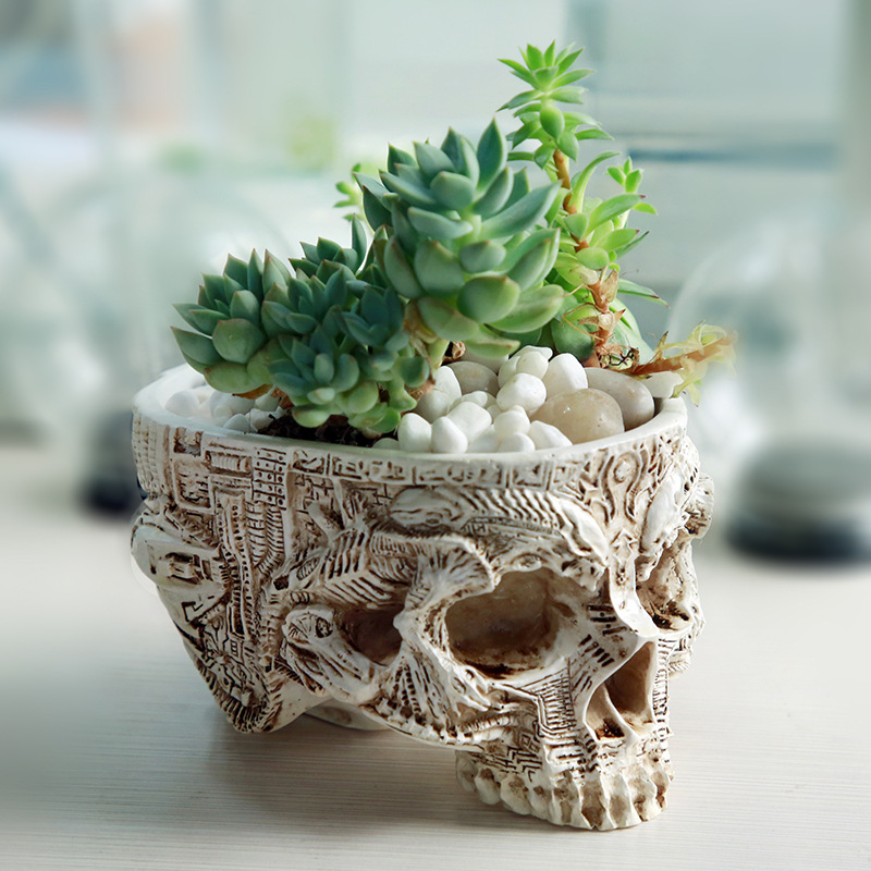 Halloween Schedel Bloempot Got - Snake Plant Ceramic recensie en prijs