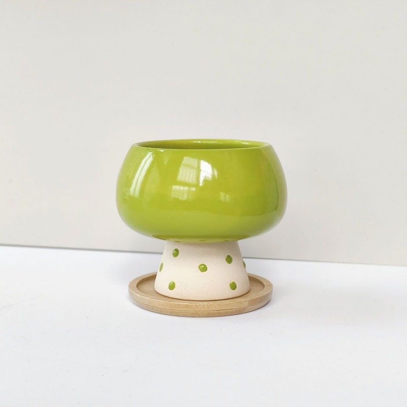 Stijlvolle minimalistische ker - Snake Plant Ceramic recensie en prijs
