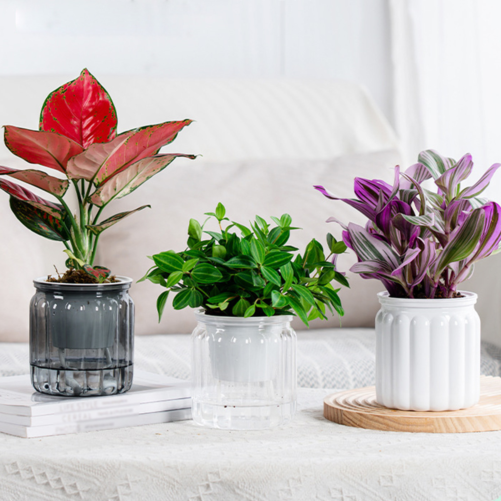 Moderne zelfwatergevende plant - Snake Plant Ceramic recensie en prijs
