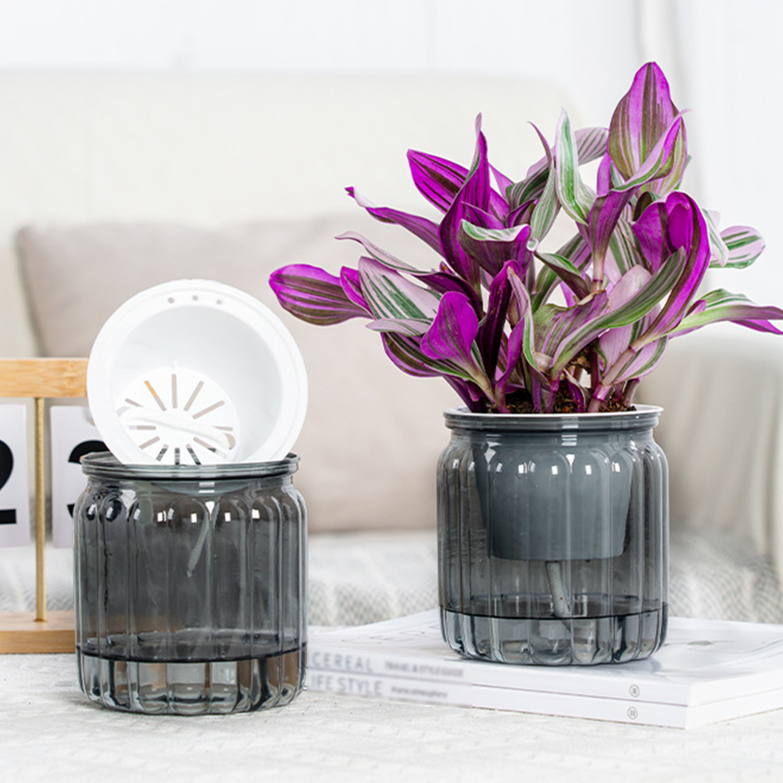 Moderne zelfwatergevende plant - Snake Plant Ceramic recensie en prijs