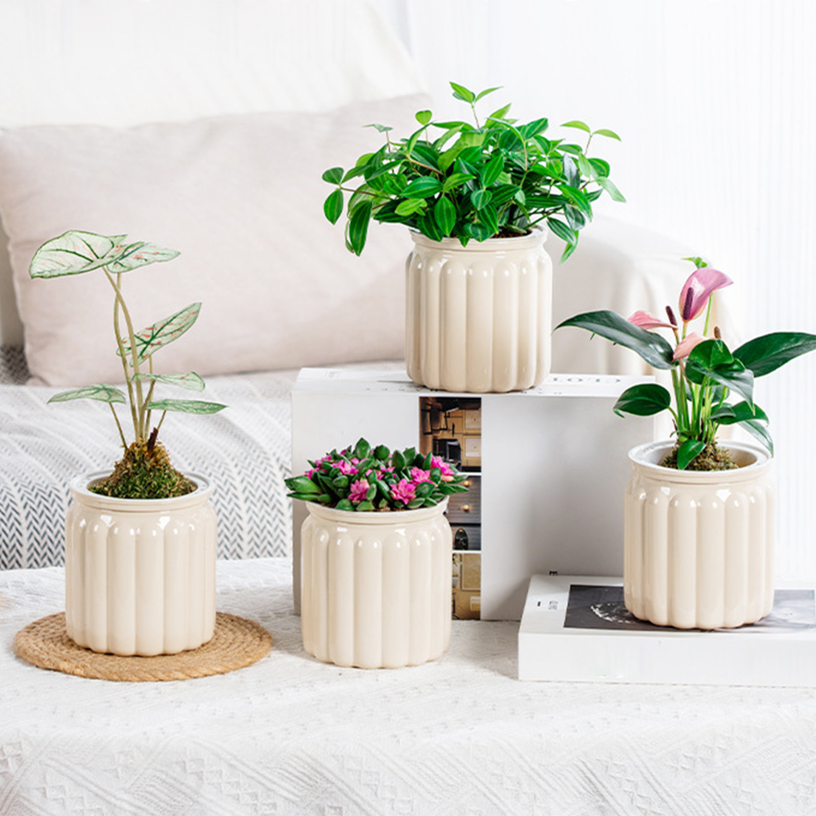 Moderne zelfwatergevende plant - Snake Plant Ceramic recensie en prijs