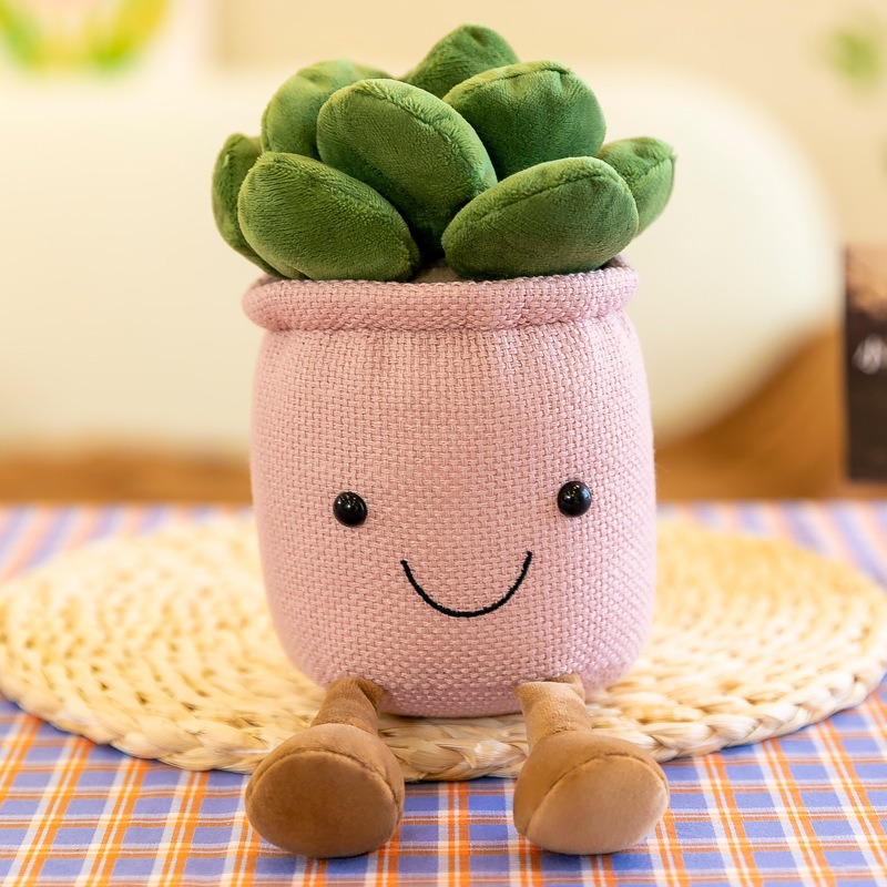 @@Levensechte Tulp Vetplanten  - Cactus Mix Pot recensie en prijs