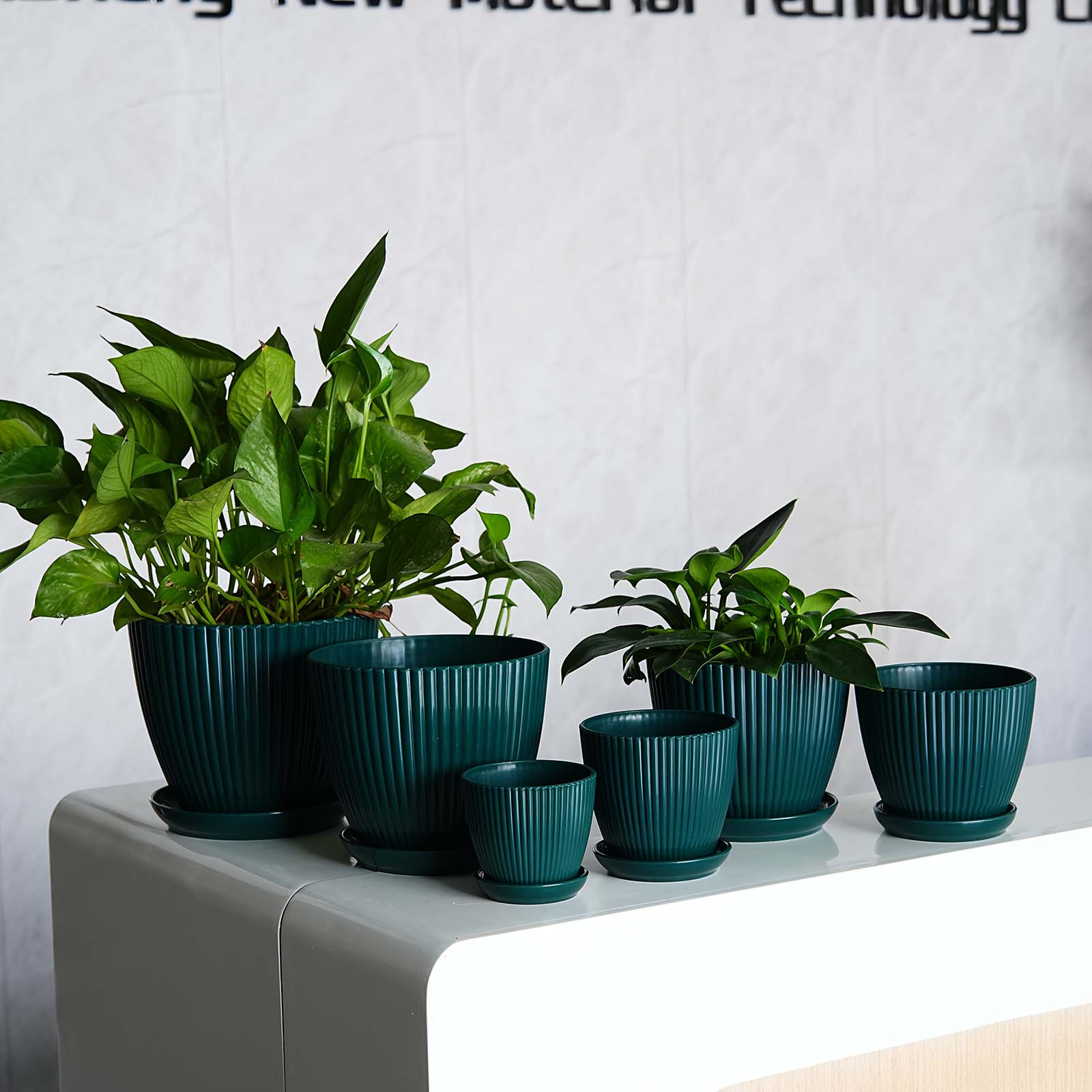 Verticaal gestreepte plantenpo - Snake Plant Ceramic recensie en prijs