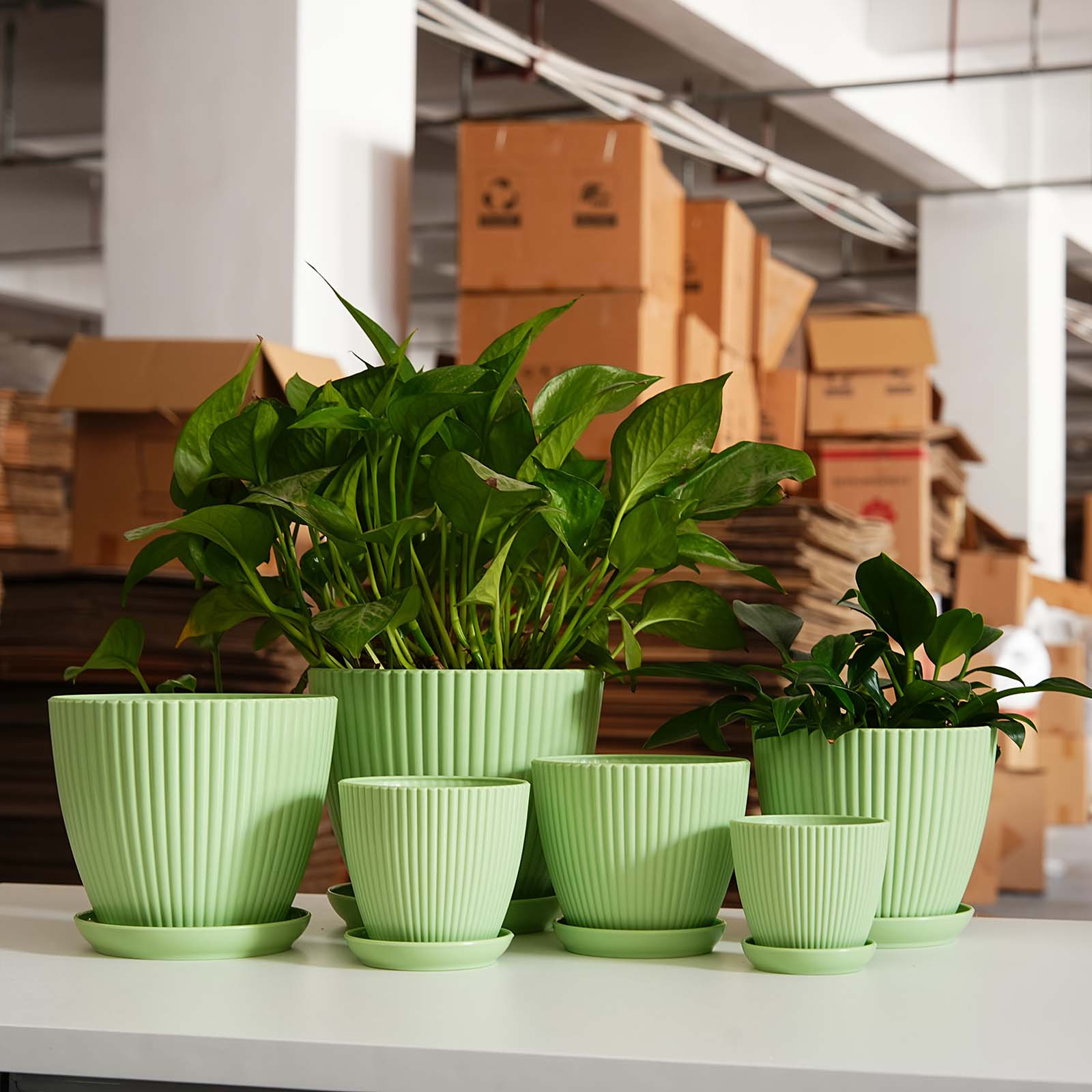 Verticaal gestreepte plantenpo - Snake Plant Ceramic recensie en prijs