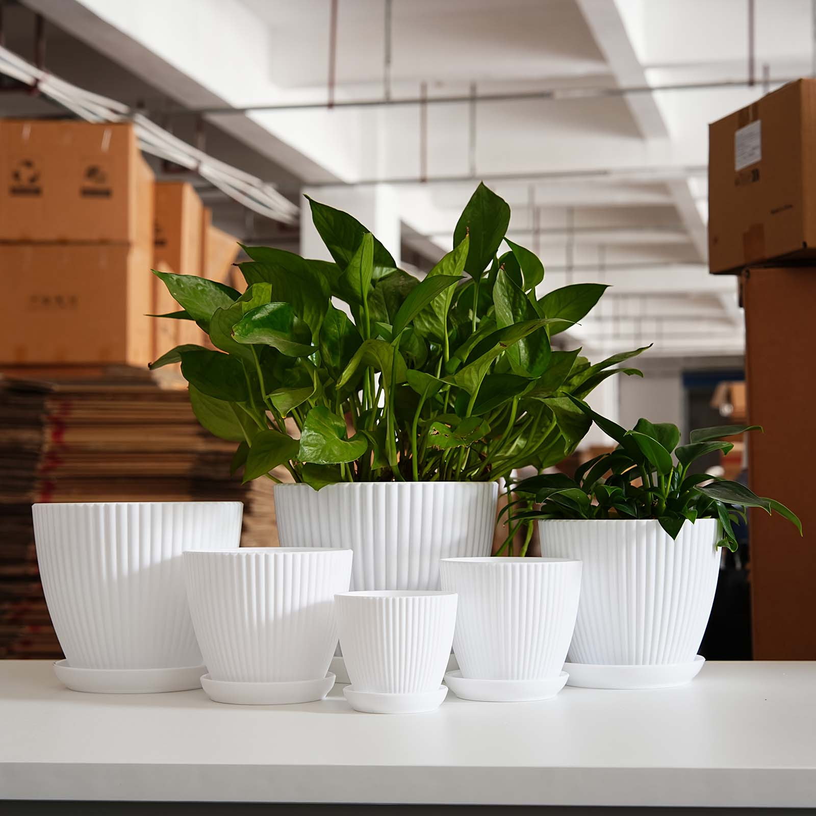 Verticaal gestreepte plantenpo - Snake Plant Ceramic recensie en prijs